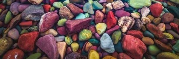 Democracywarri2 Profile Banner