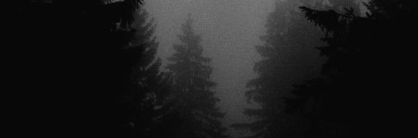 RayPissinati's profile banner image