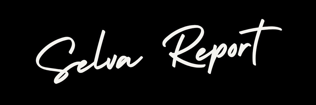 Selva_Report's profile banner image