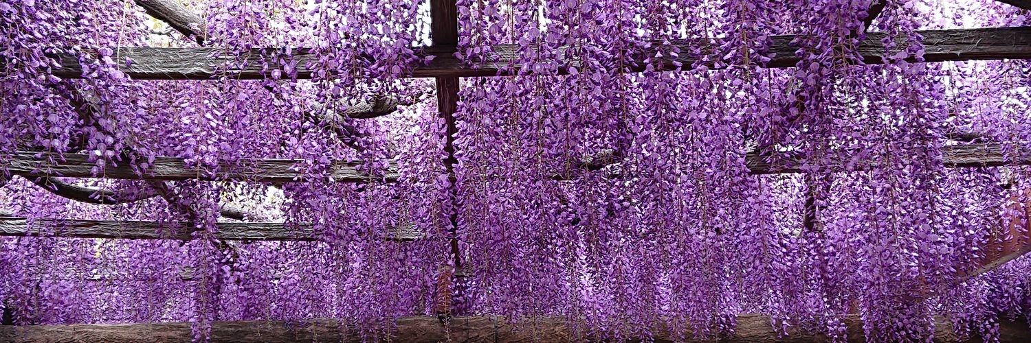 82Q's profile banner image