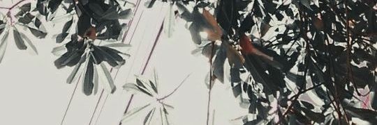 ddaddomint's profile banner image