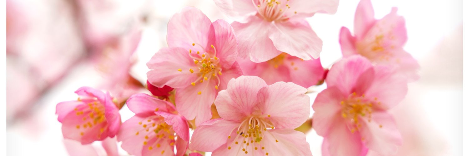 FemboyDreams2's profile banner image