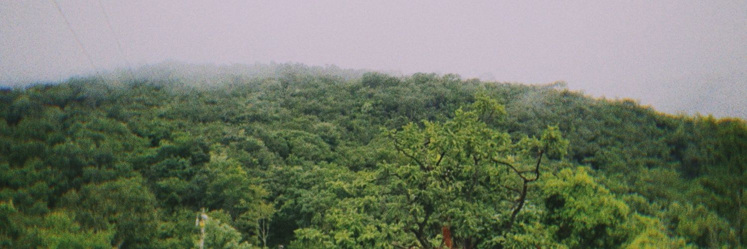 Vitimlop's profile banner image