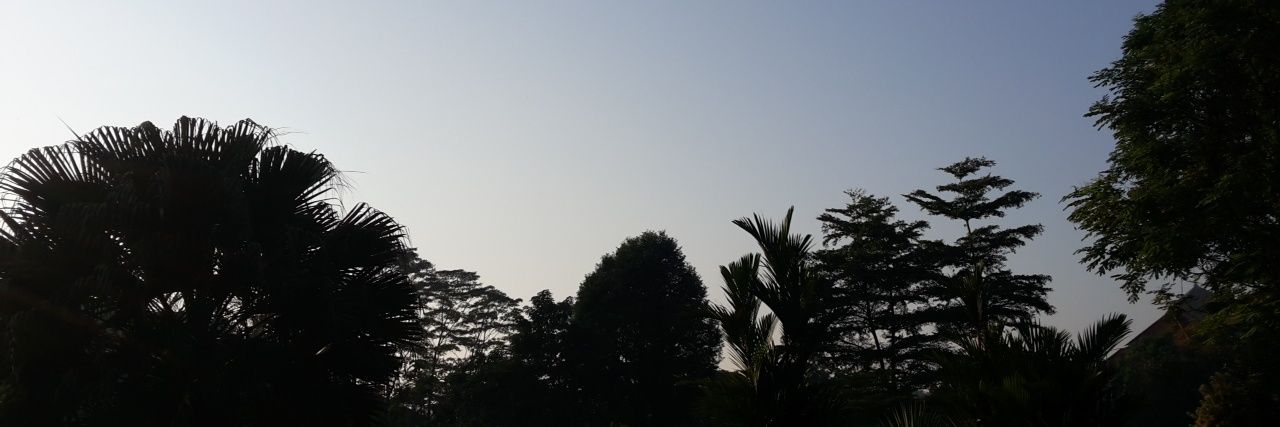 Raneedev's profile banner image