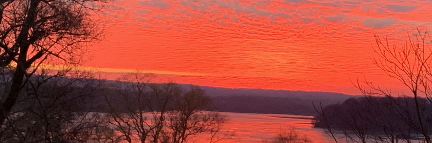 Tony_uglydog's profile banner image