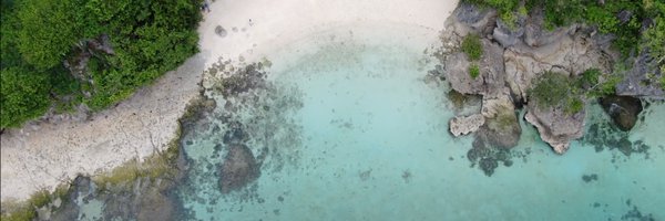 irisbeara Profile Banner