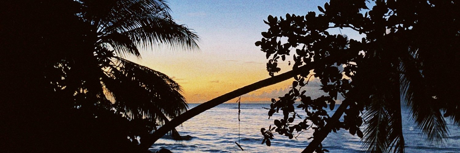 •MOHIKAA•🐲 banner