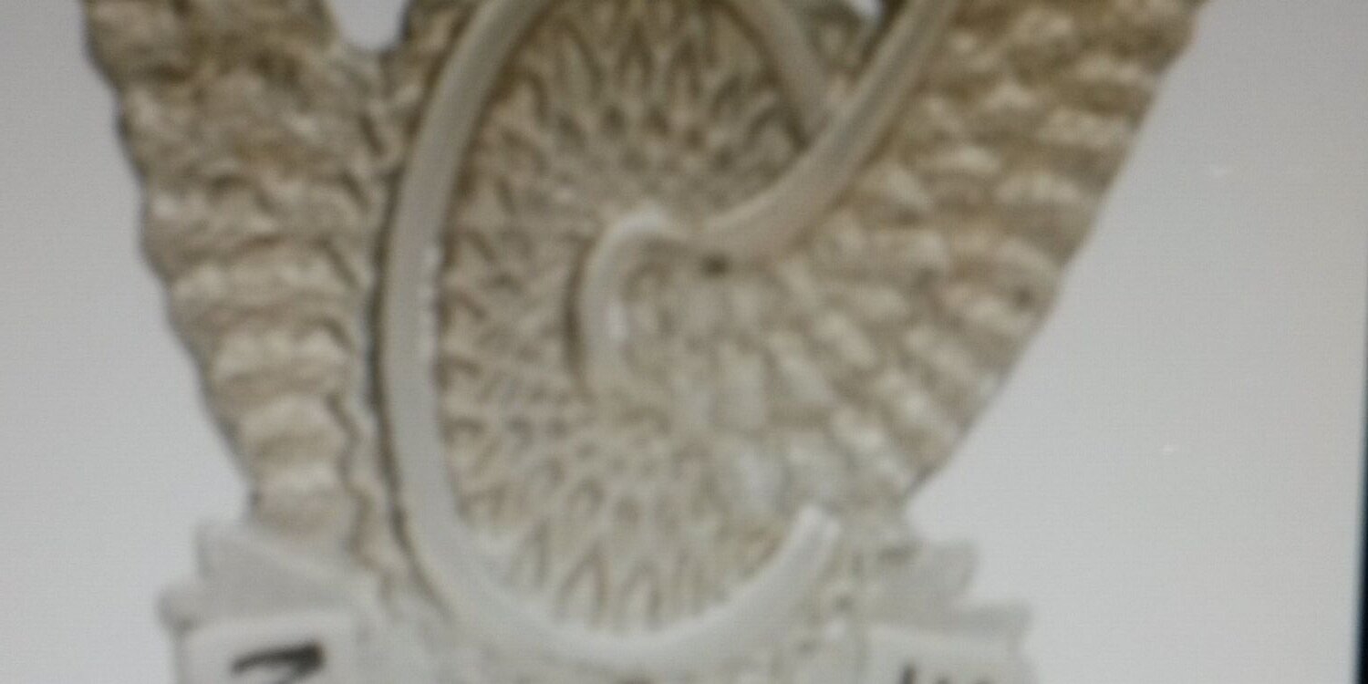 dgcella66's profile banner image