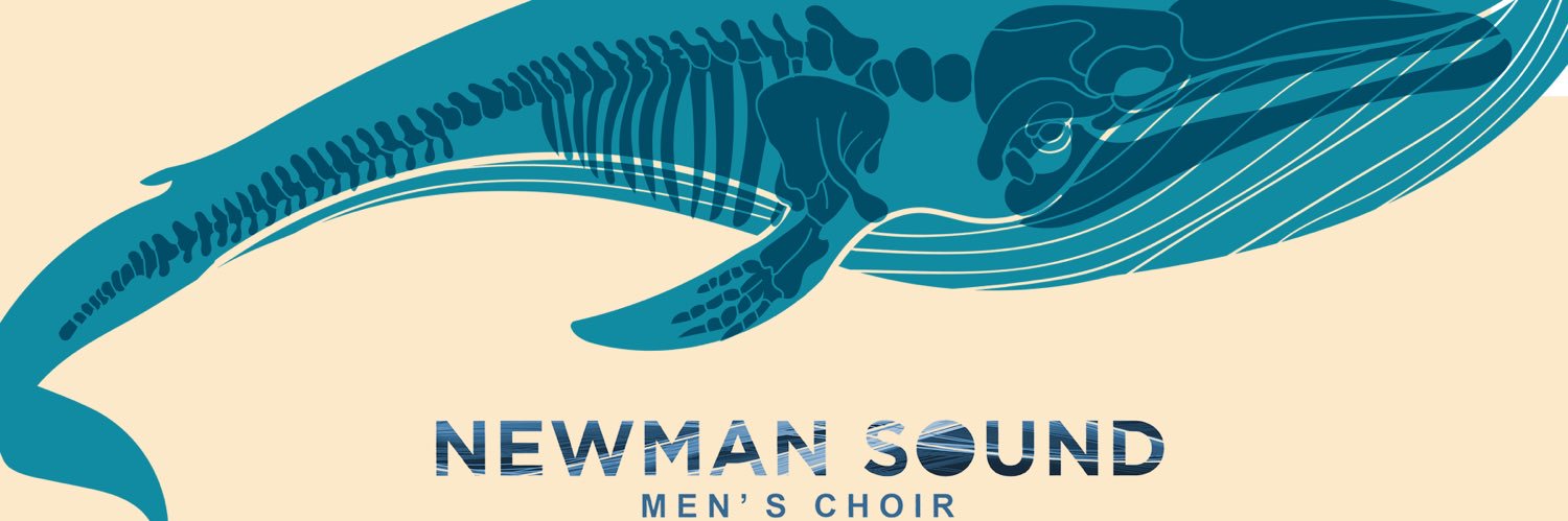 Newman Sound banner