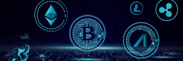 CryptoBunnyX banner