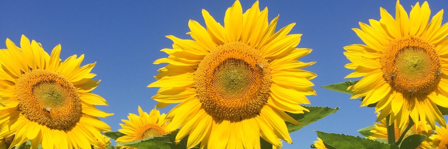KBurgstaller's profile banner image