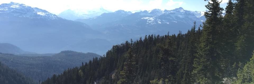pascalthebold's profile banner image