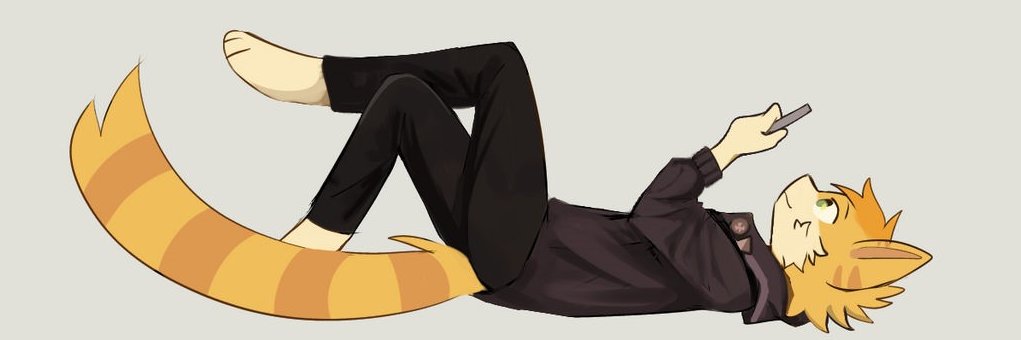DownrightSVN's profile banner image