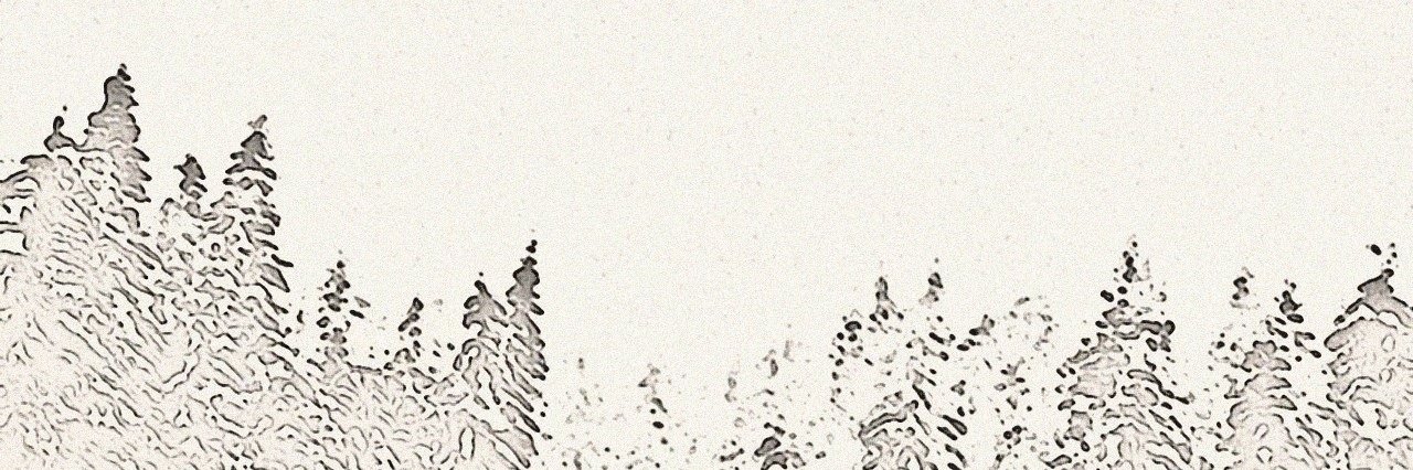 Victory Kicks banner