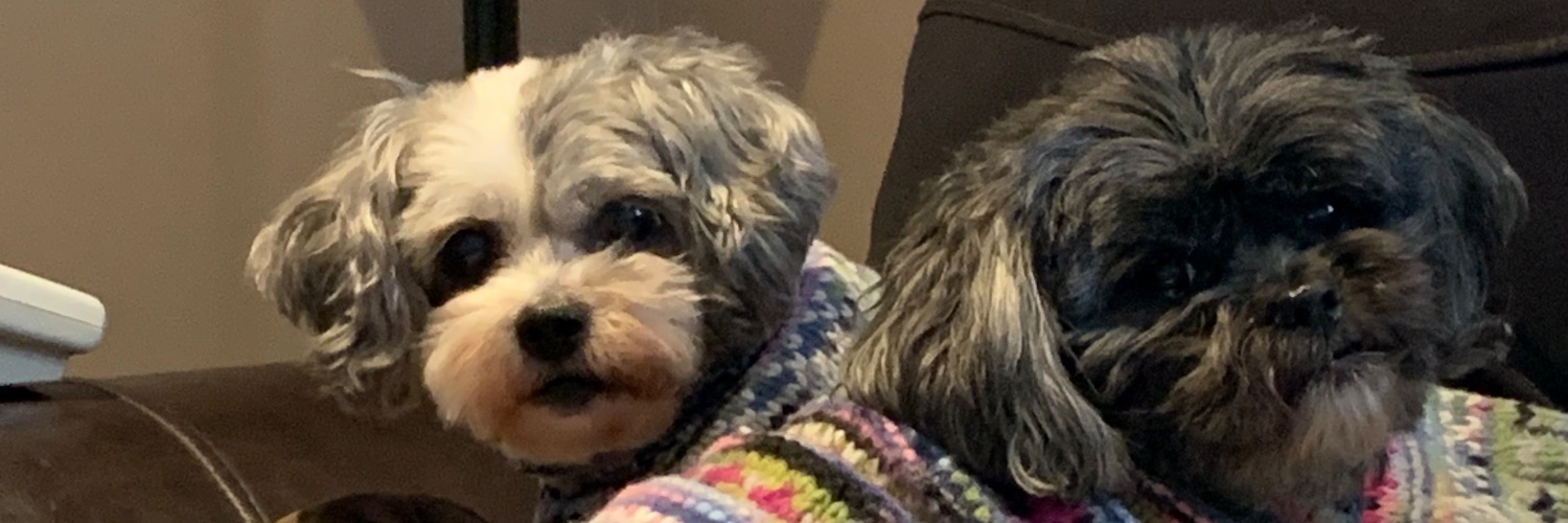 WWBD 🇨🇦🇵🇹 banner