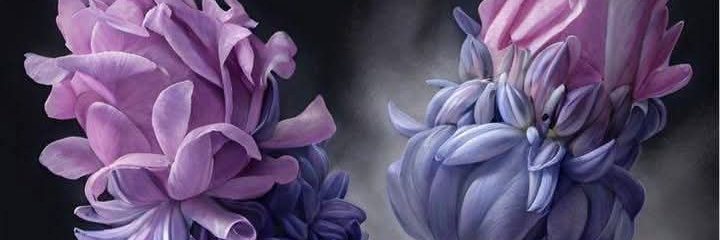 شيرين 🐋 banner