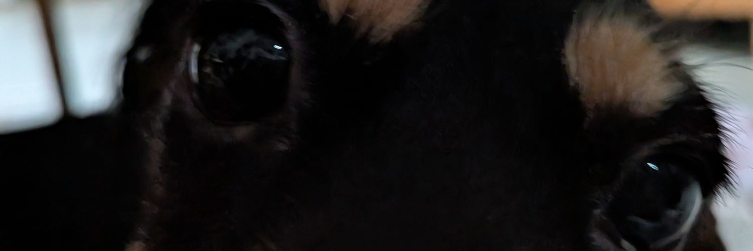 __08_a's profile banner image