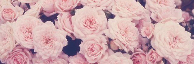 MeemawR's profile banner image