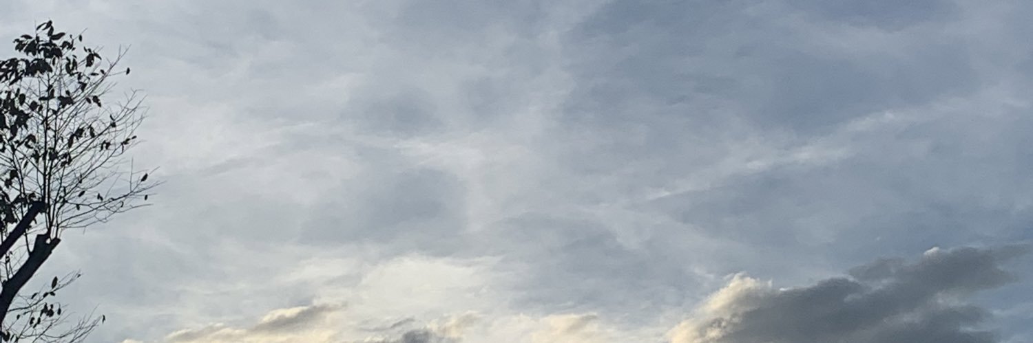 🌻 banner