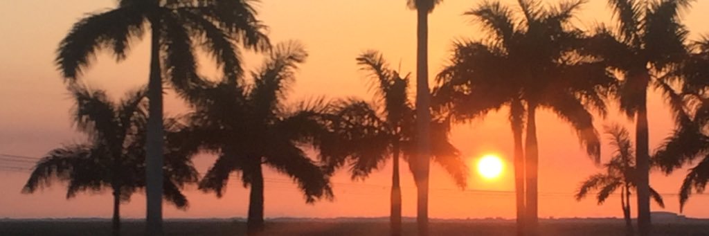 AB_allison's profile banner image