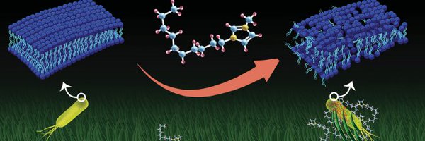 SoftMatter_SNU Profile Banner