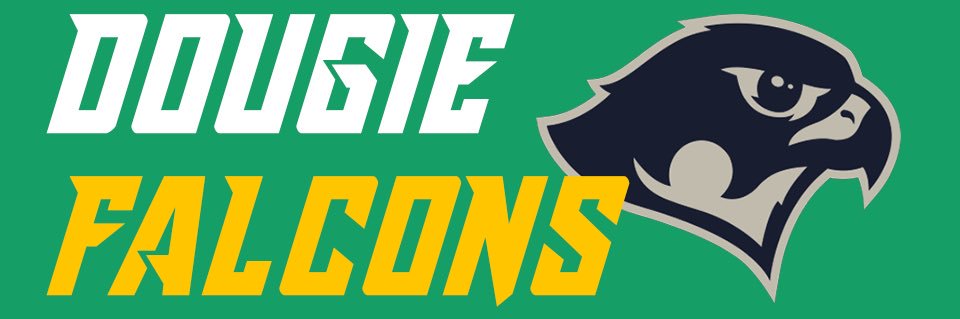 Dougie Falcons banner