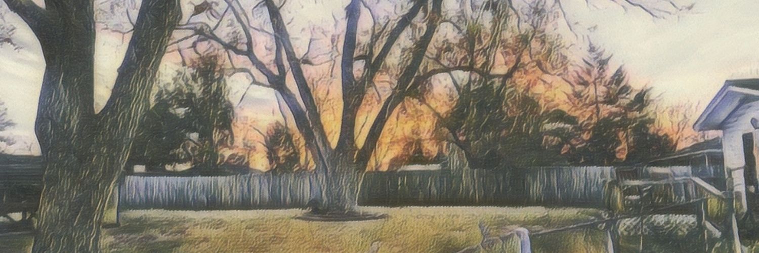 Scenique_GraphX's profile banner image