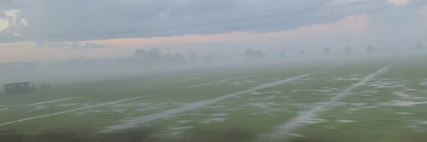 🇳🇱⚡️ banner