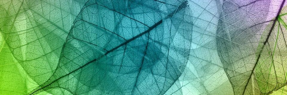 SheilaReil's profile banner image
