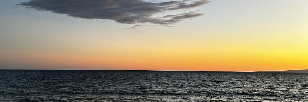 Lademonio 🔻🌻😈 banner