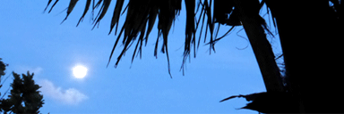 comolynn's profile banner image