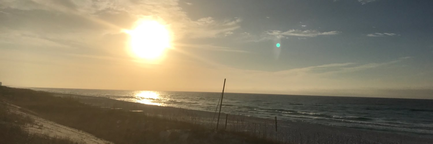 Denira Williams banner