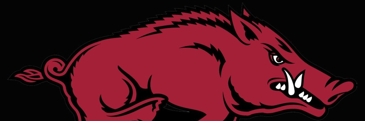 🐗 Di🅰️ne 🐗 banner