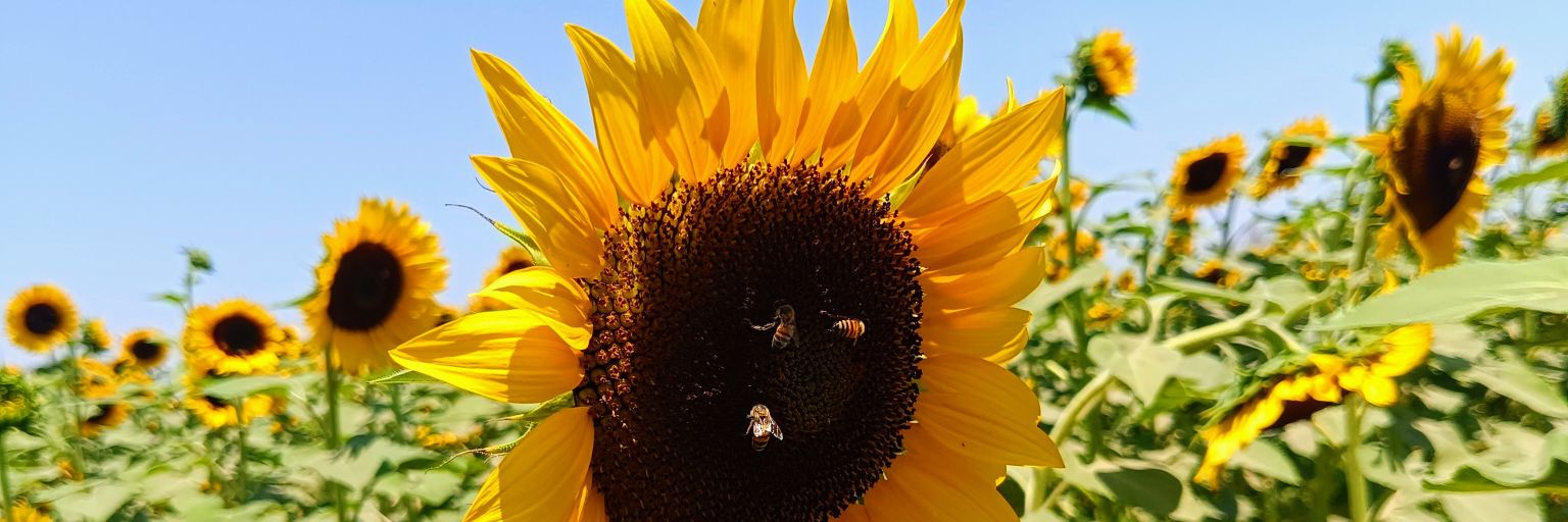 mervel84's profile banner image