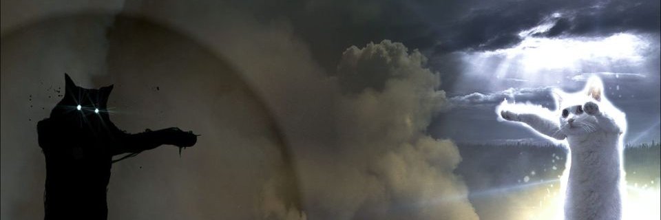 Nyapollo13's profile banner image