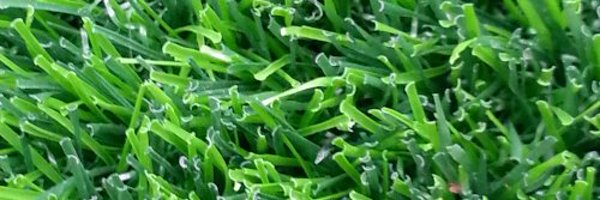 EeemMoore Profile Banner
