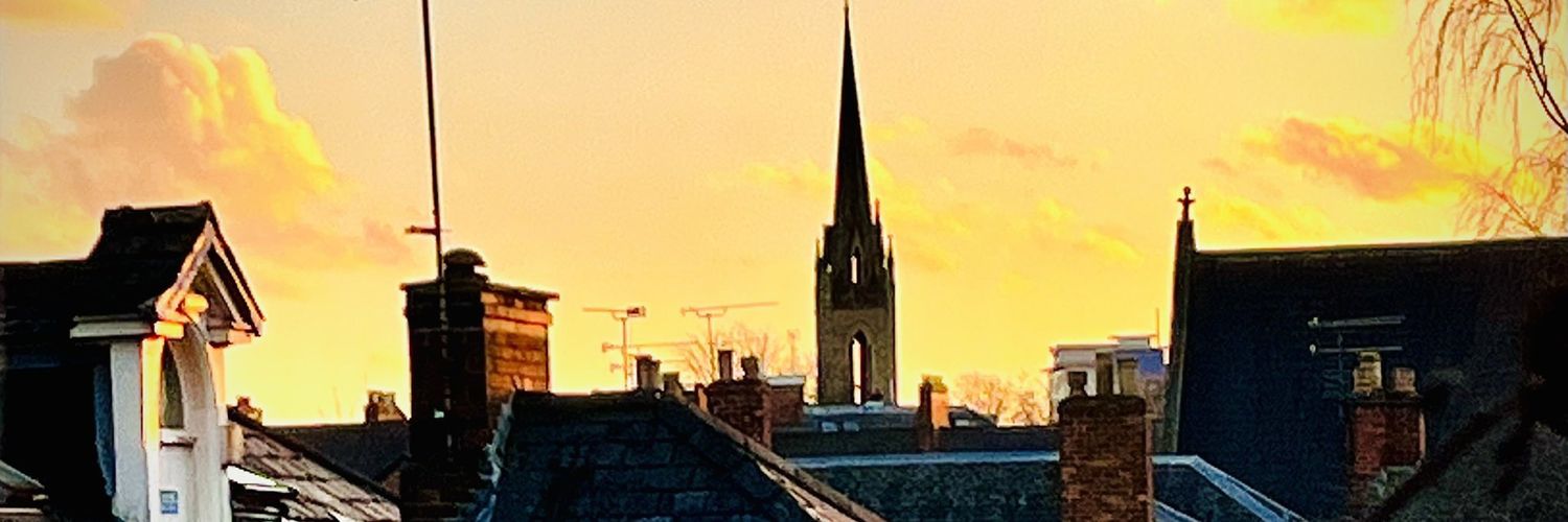 Profesör banner