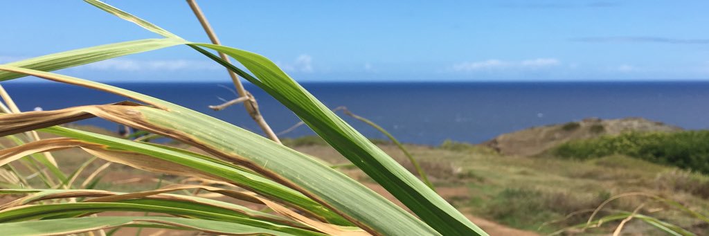 bobmullaney's profile banner image