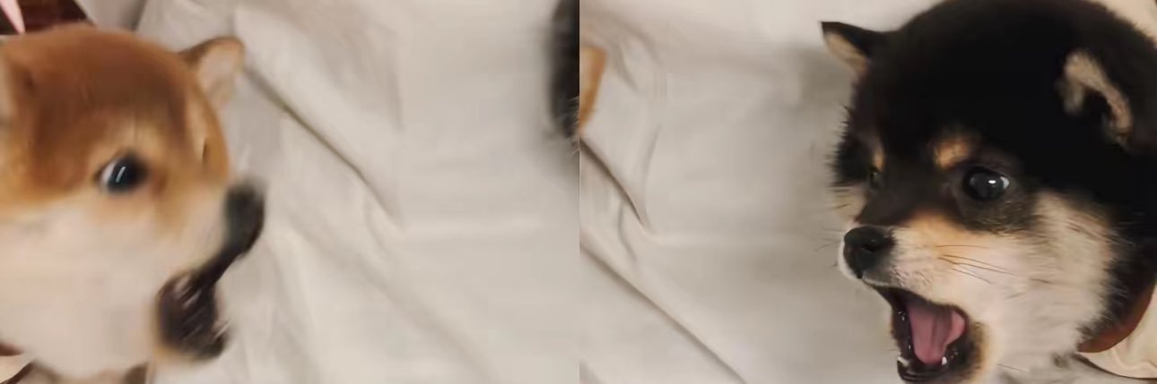 onmygod6's profile banner image