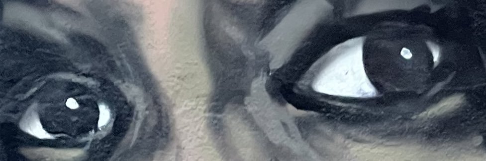 MoneyAintShook's profile banner image