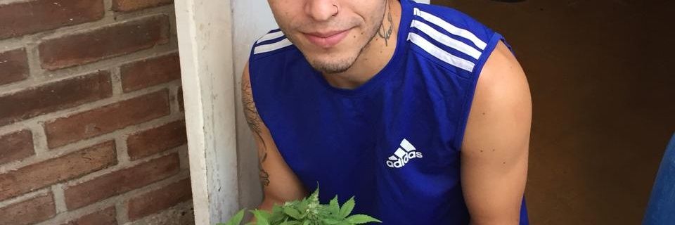 alejosegg2's profile banner image