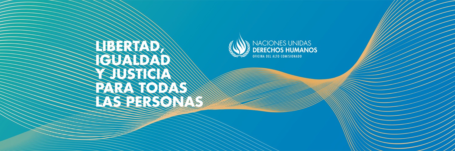 ONU Derechos Humanos - América del Sur banner