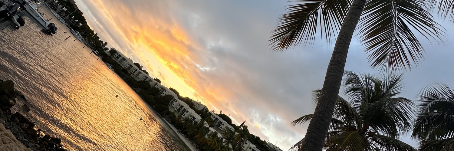 cierranewgren's profile banner image