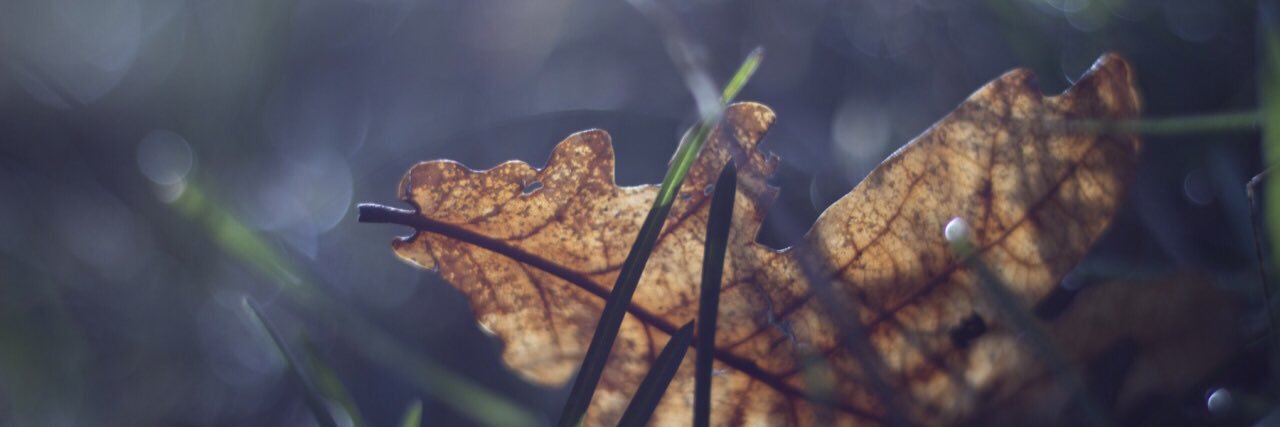 CB_Obsessed_'s profile banner image