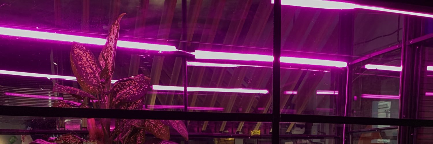 PSN_BUDDHA's profile banner image