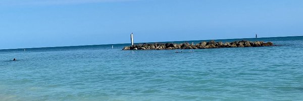 googlesgoggles Profile Banner