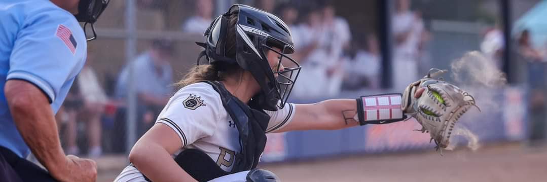 Sarah Dwigans banner