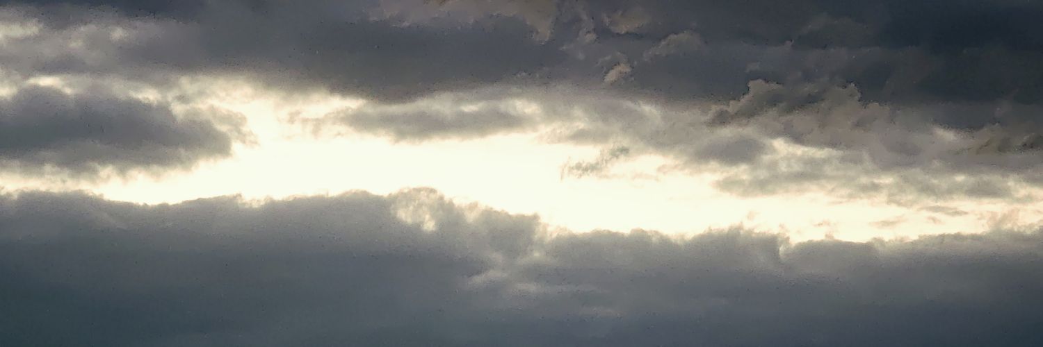 ScelyL's profile banner image