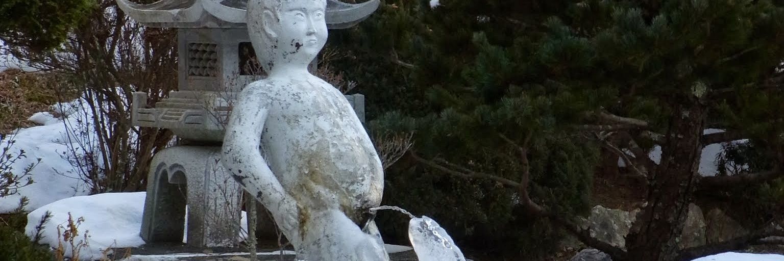 rom8754's profile banner image