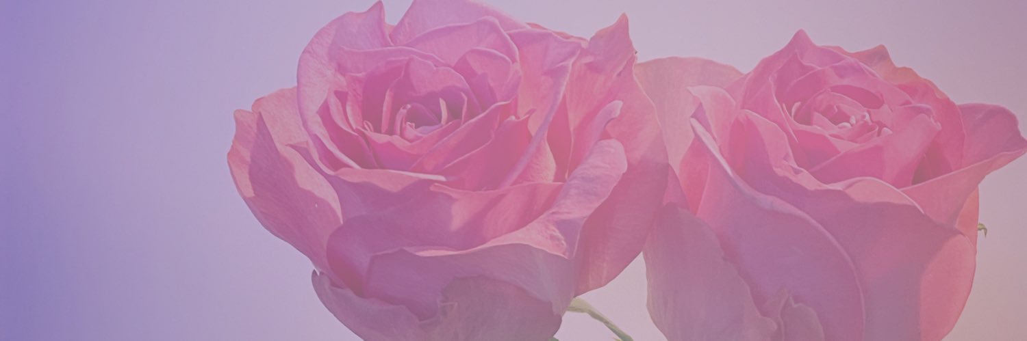 MM0107's profile banner image